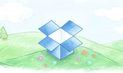 box-7.jpg