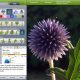 20140704-fphd-fiche.jpg