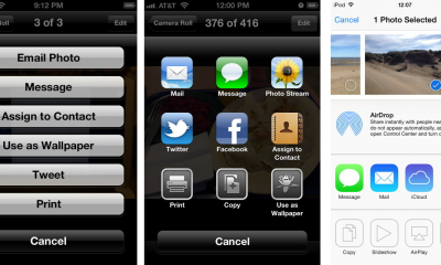 ios_share_evolution.png