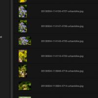 mode-liste-detail-2.jpg