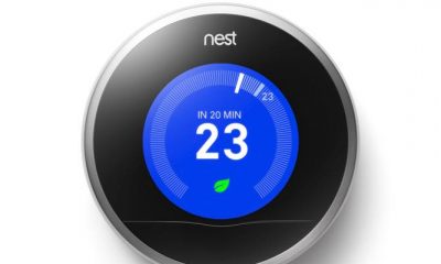 nest-3.jpg