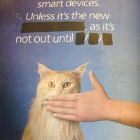 o2.jpg