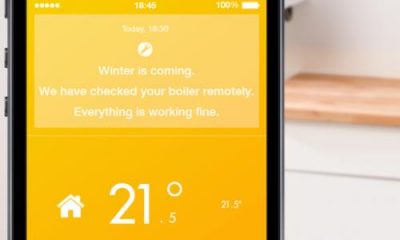 tado.jpg