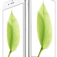 iphone6_6plus.png