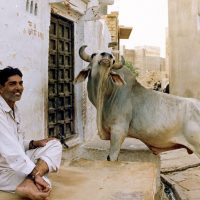 Jaisalmer