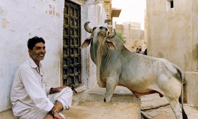 Jaisalmer