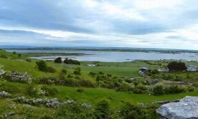 Comté de Galway