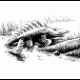 image 134 x 84