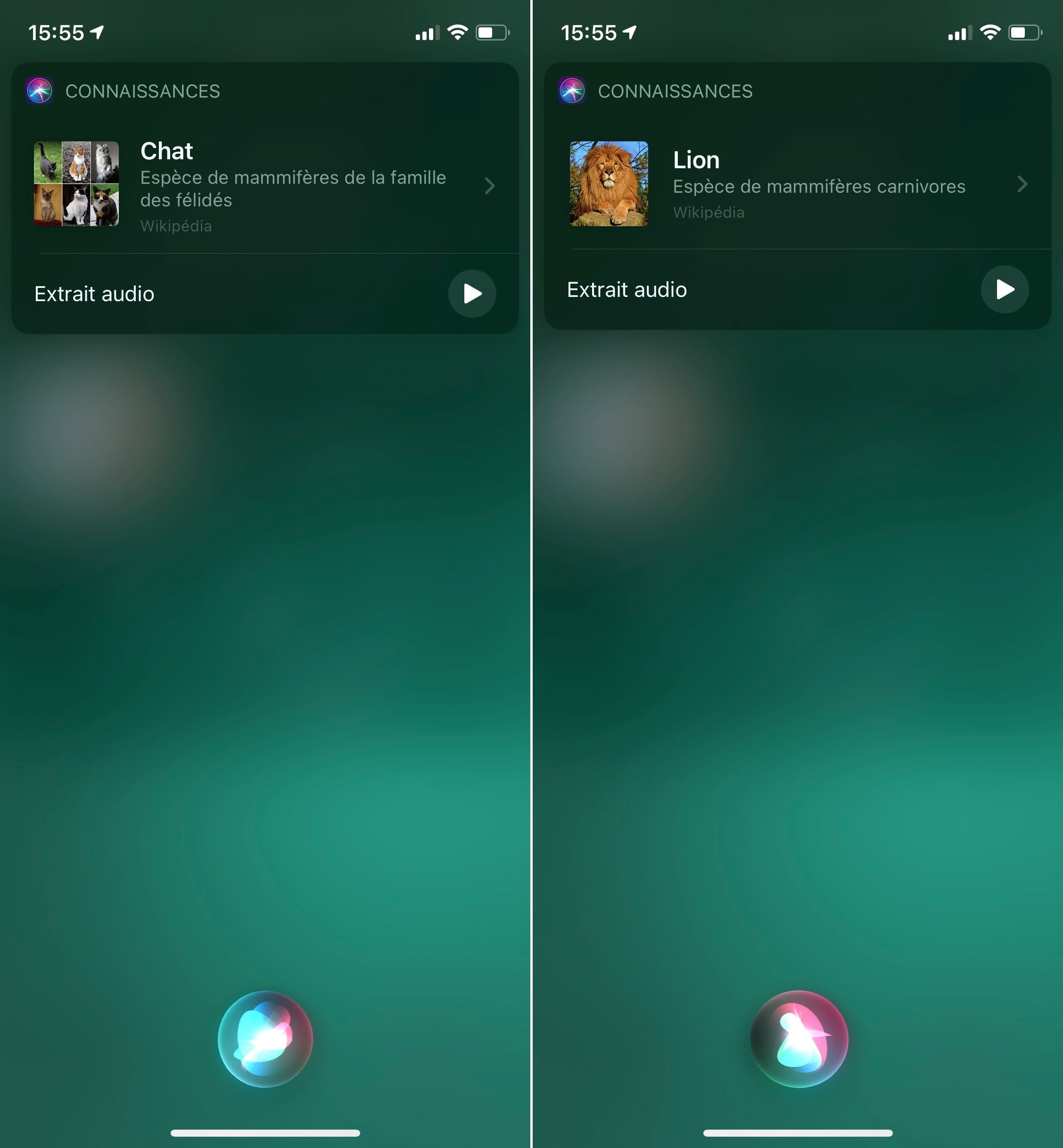 Enregistrements audio de Siri