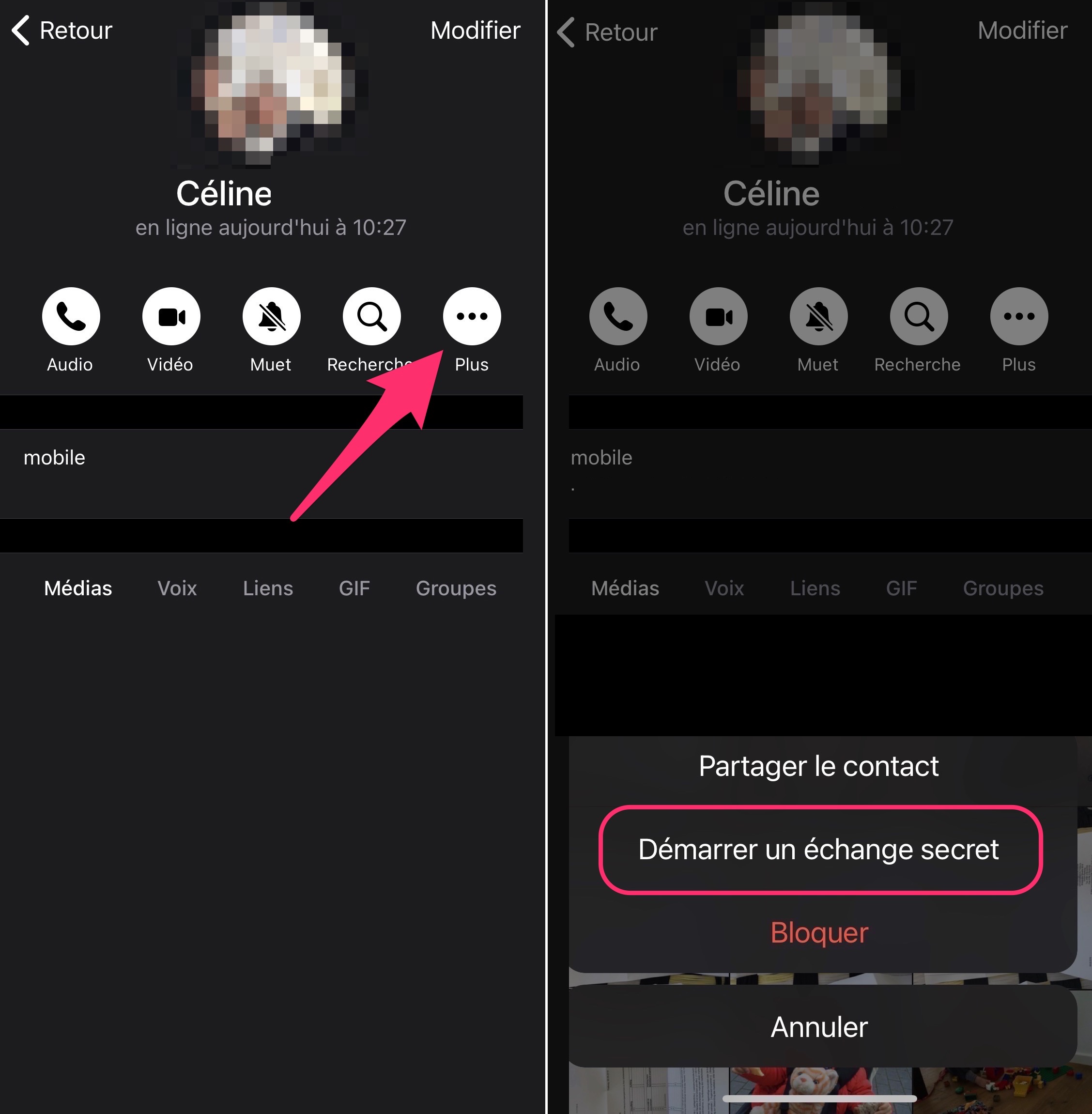 Tutoriel chiffrer échange Telegram