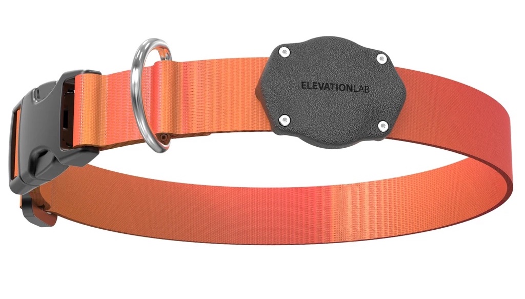 TagVault AirTag chien