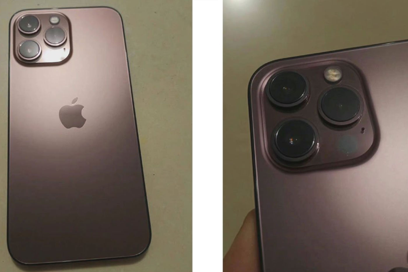 iPhone 13 or rose 
