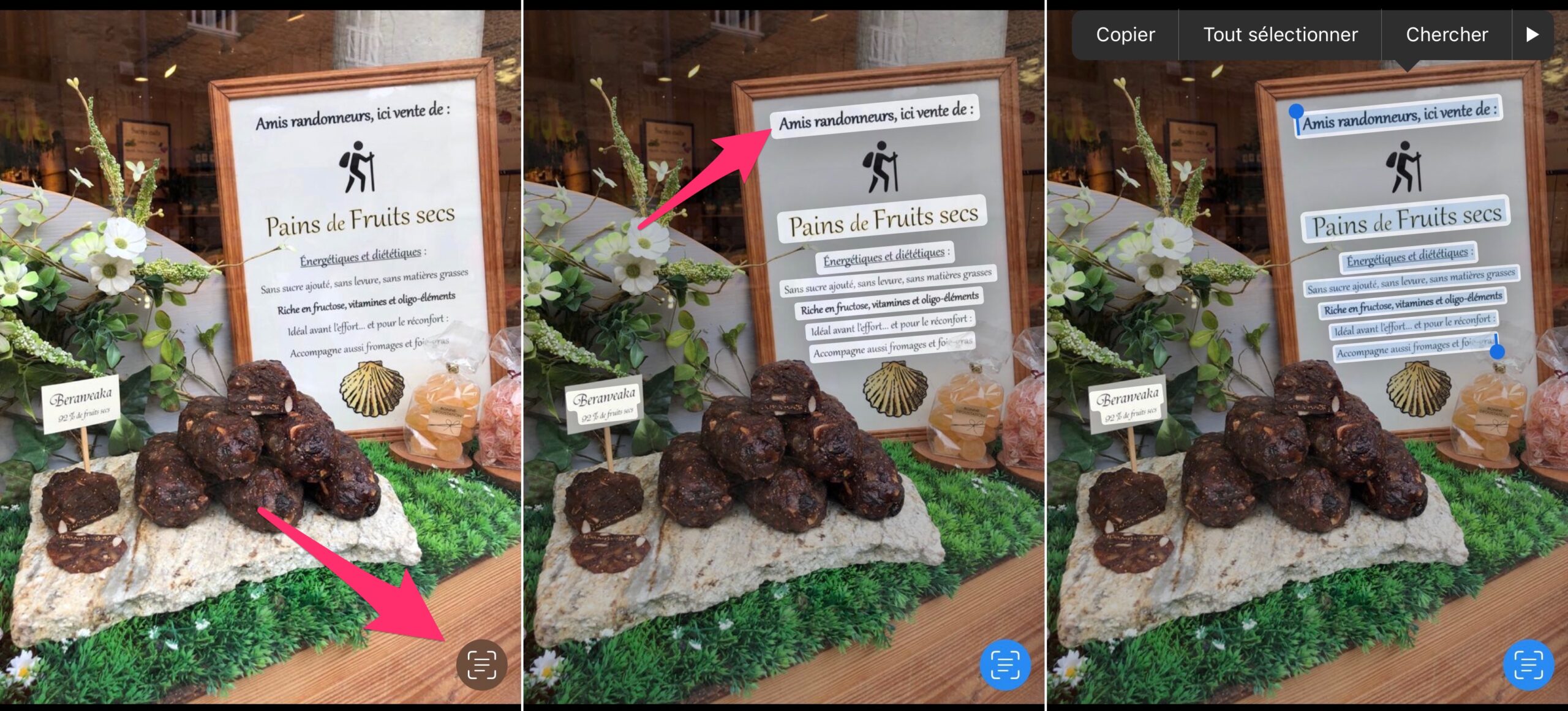 tutorial Live Texte iOS 15