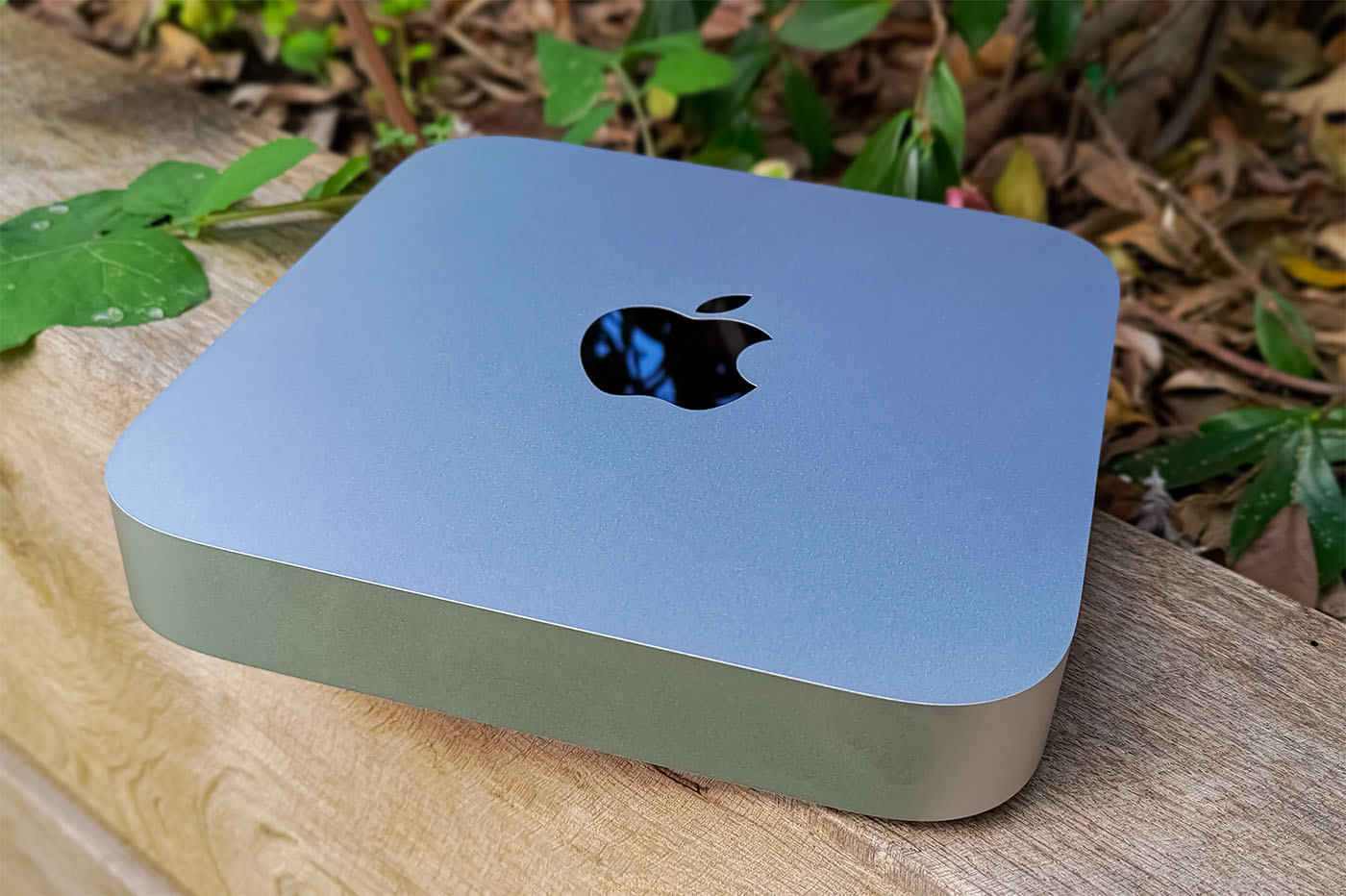 Mac Studio vs Mac mini