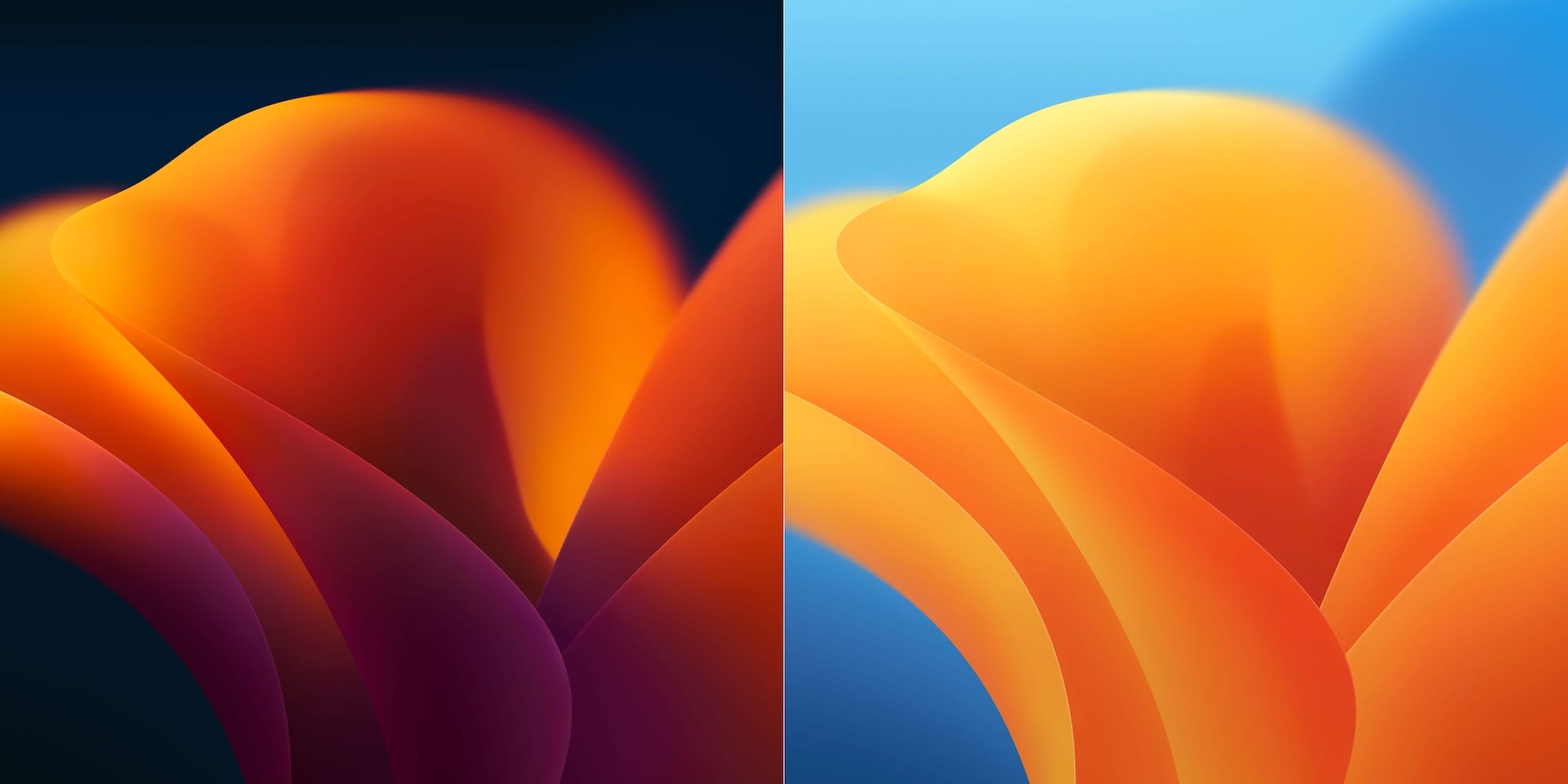 Deux fonds d'écran macOS Ventura