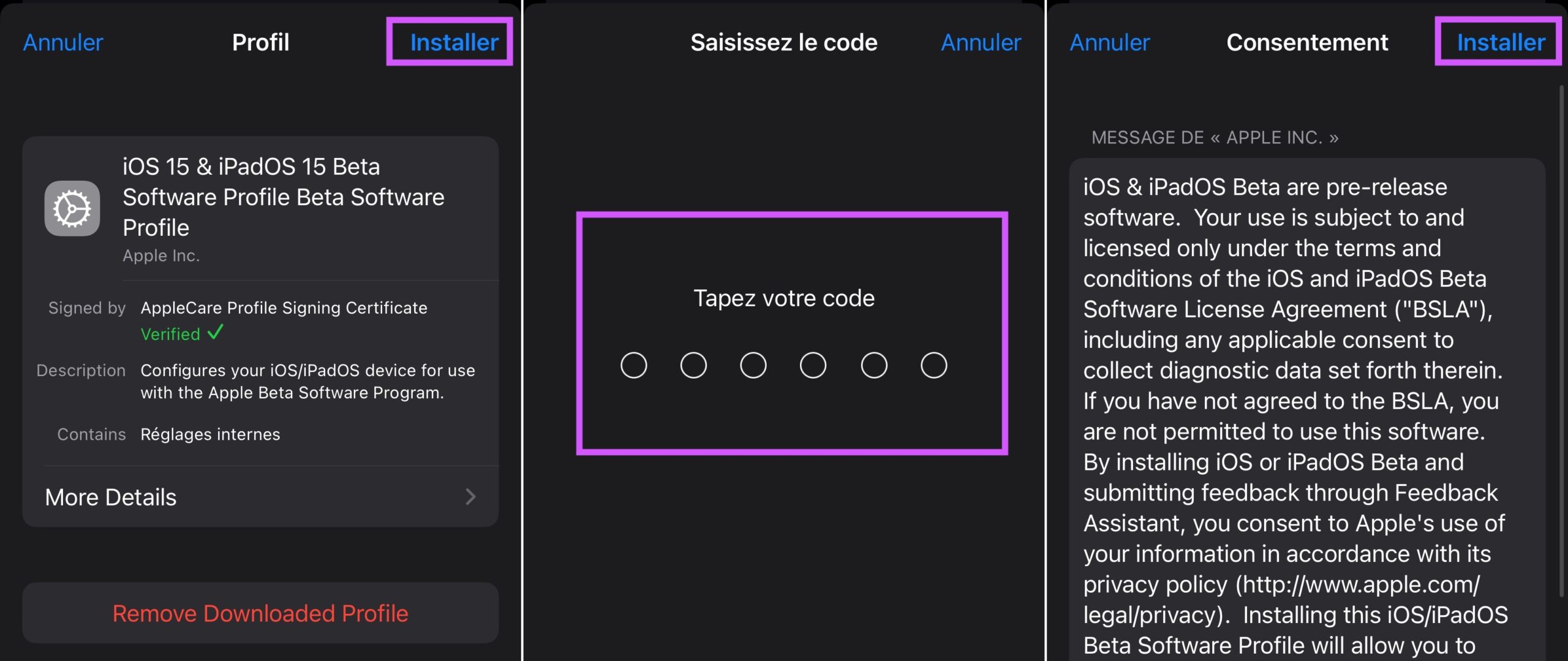 Confirmer installation iOS version bêta