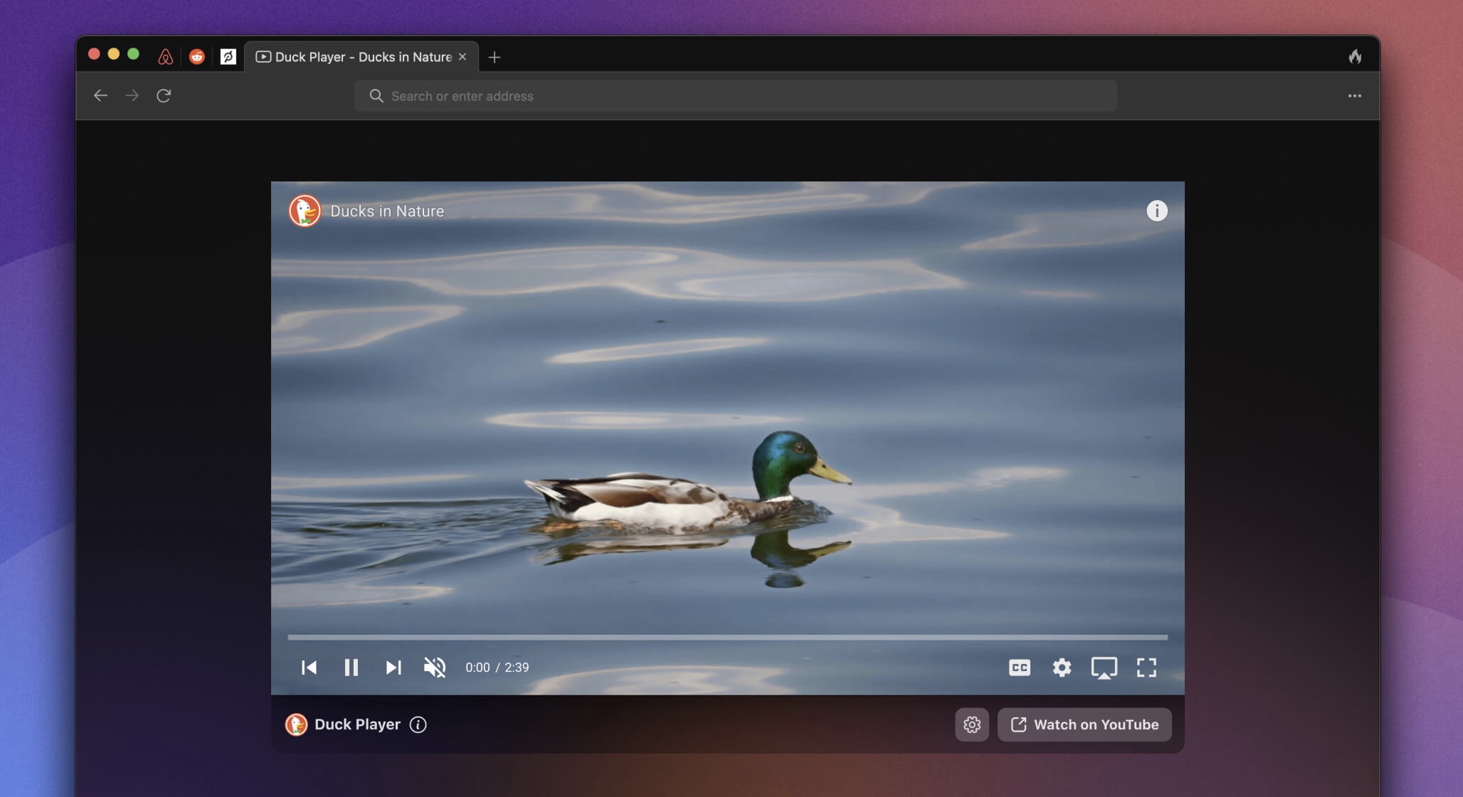 DuckDuckGo