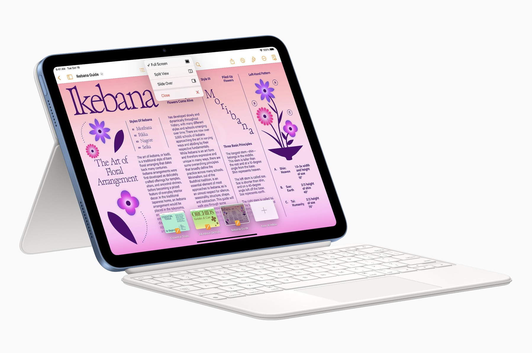 iPad 10