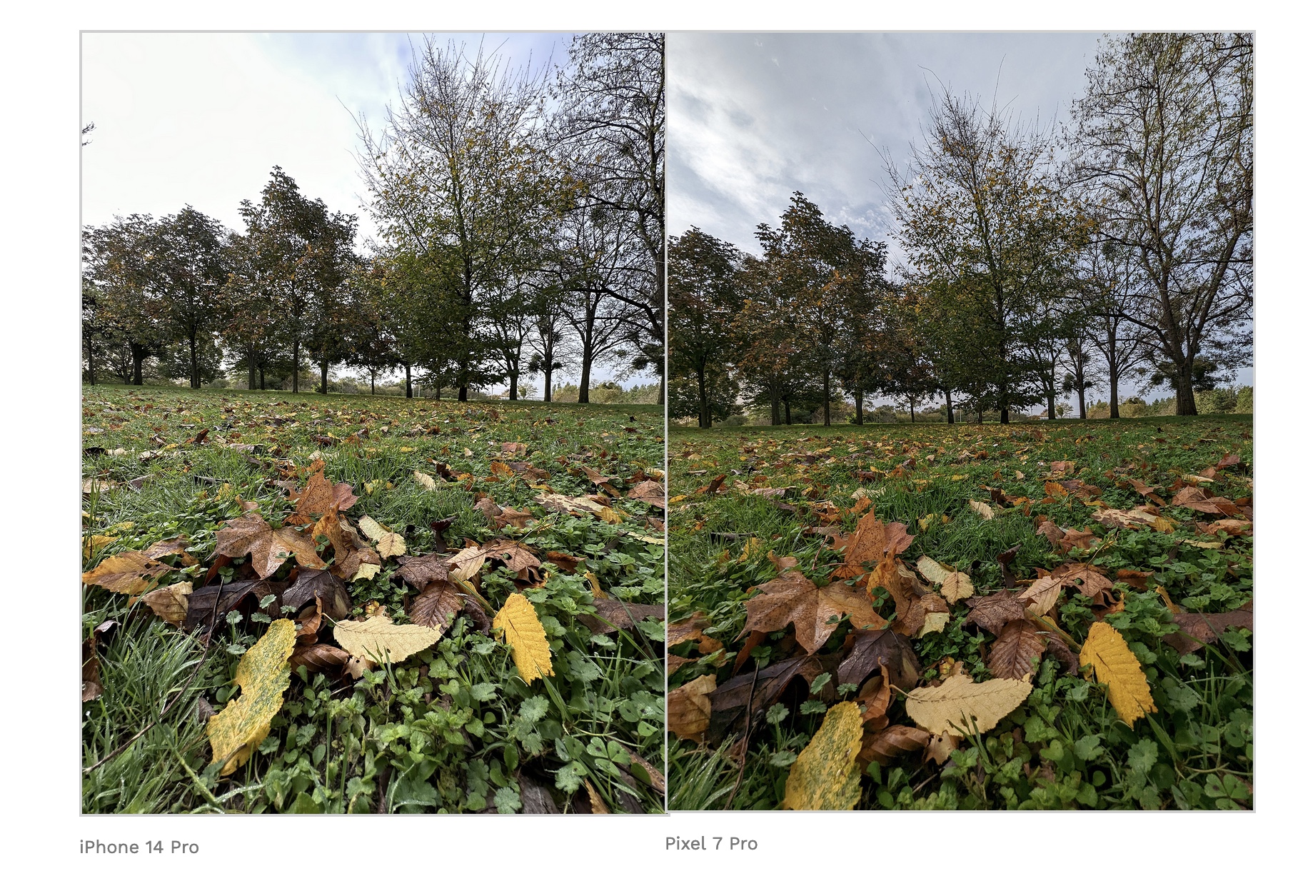 ultra grand-angle Google Pixel 7 Pro VS iPhone 14 Pro