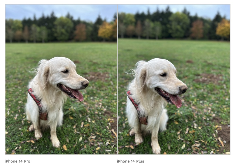 mode Portrait iPhone 14 Pro VS iPhone 14