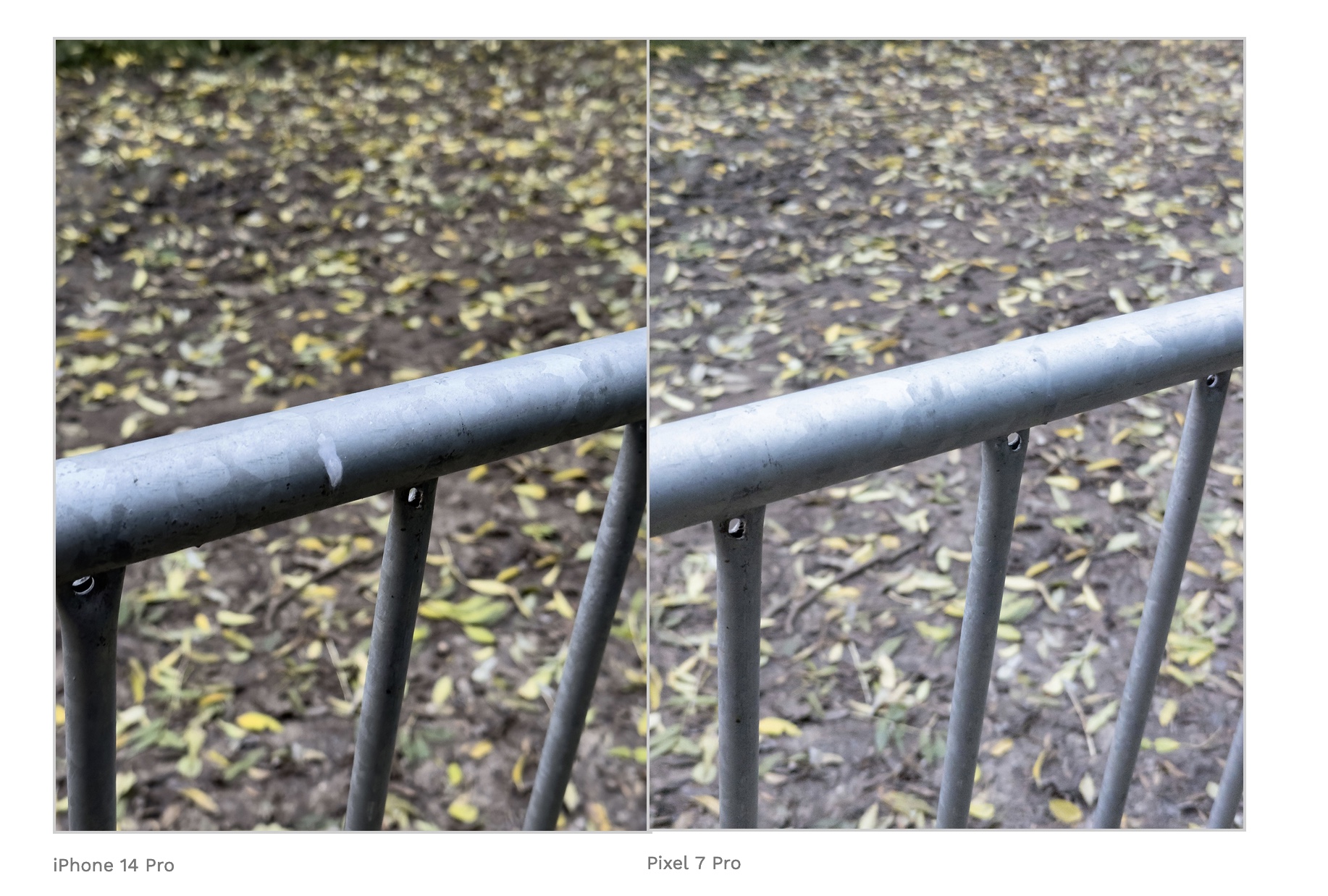 format RAW iPhone 14 Pro VS Google Pixel 7 Pro