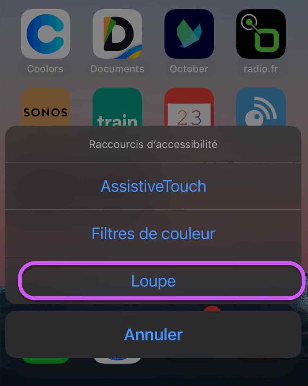 Loupe raccourci accessibilité