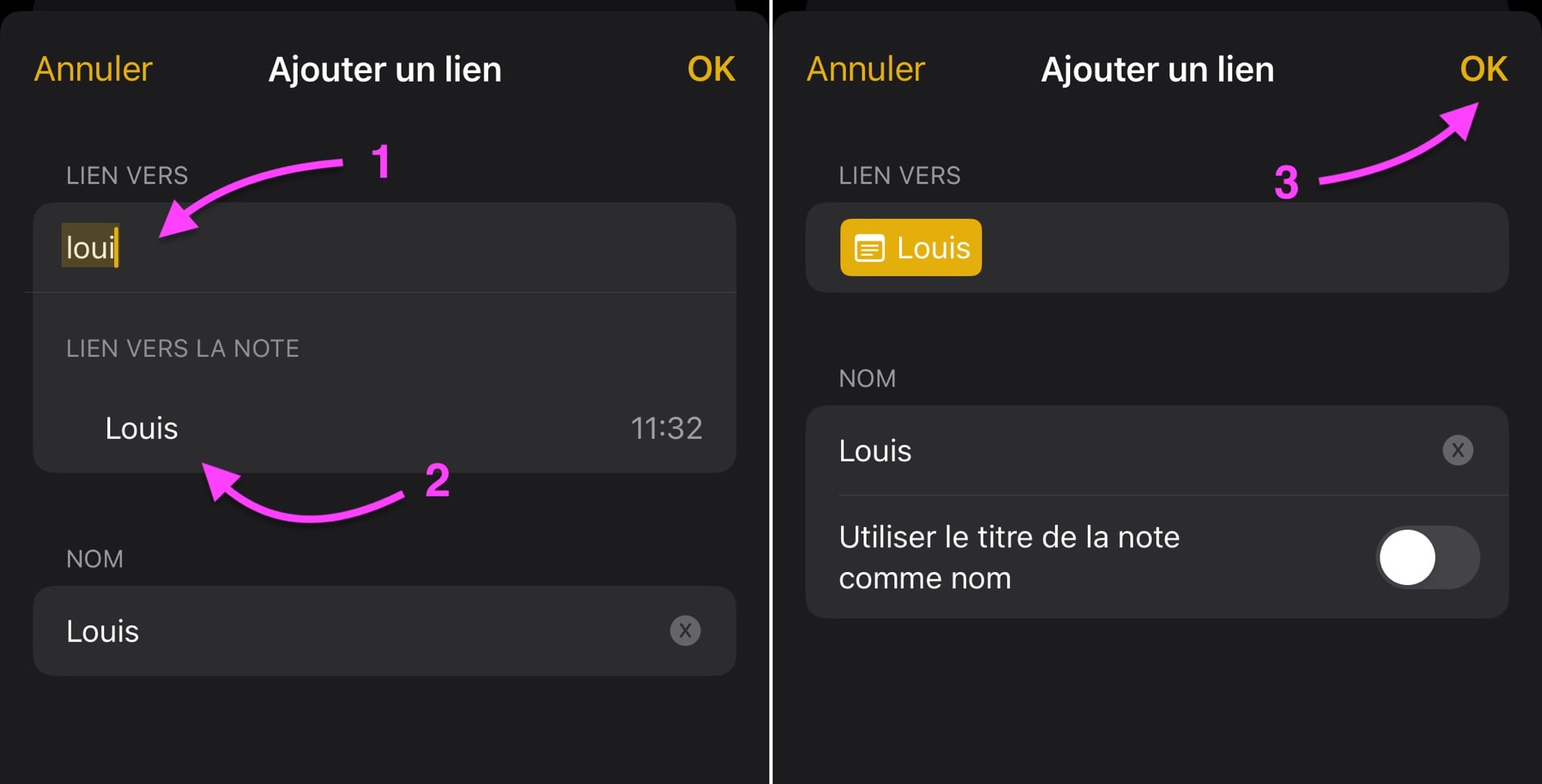Écran Ajouter un lien Apple Notes