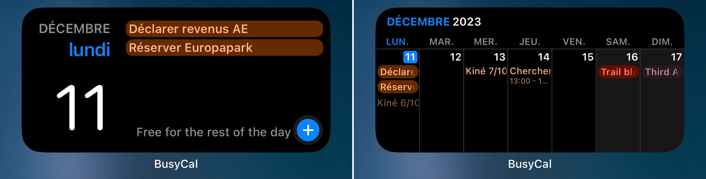 BusyCal widgets exemples
