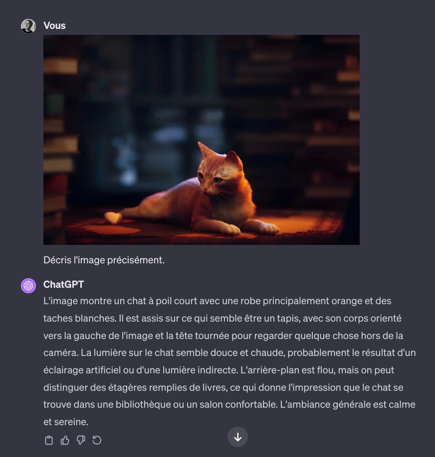 Description photo gpt 4