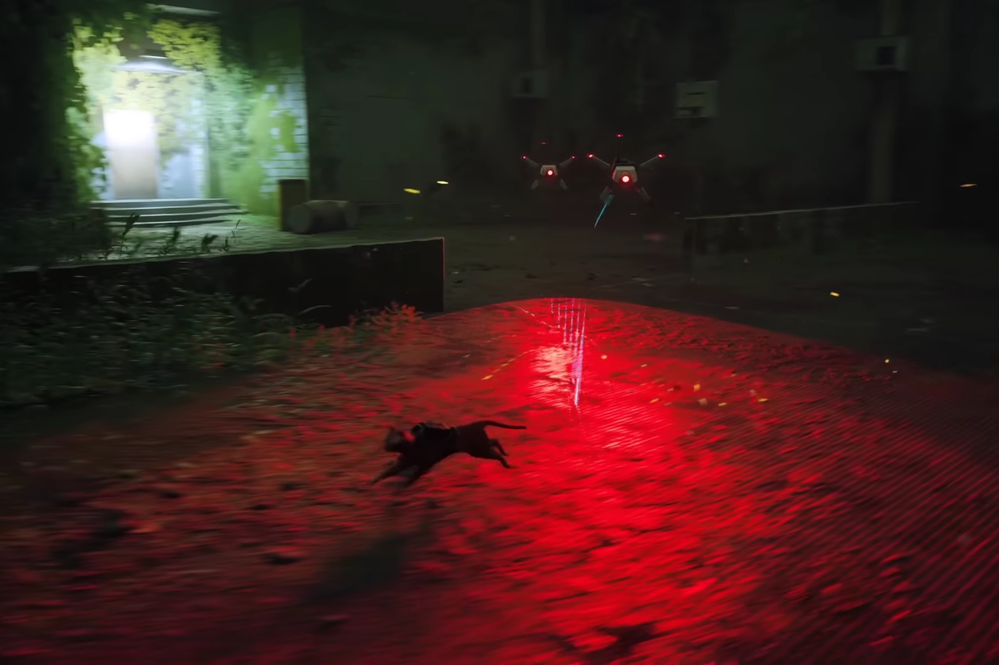Stray attaque robot