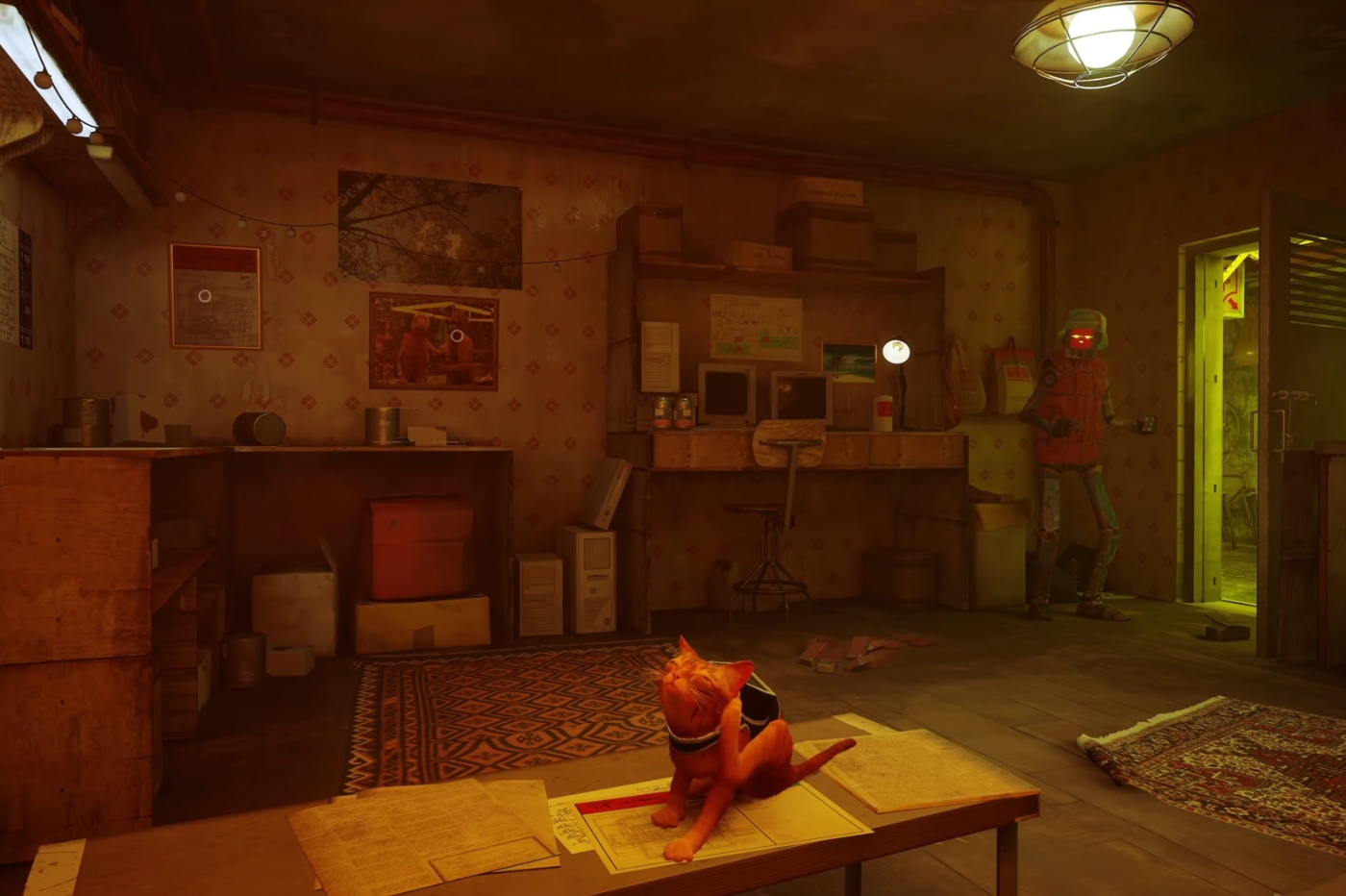 Stray chat qui se gratte