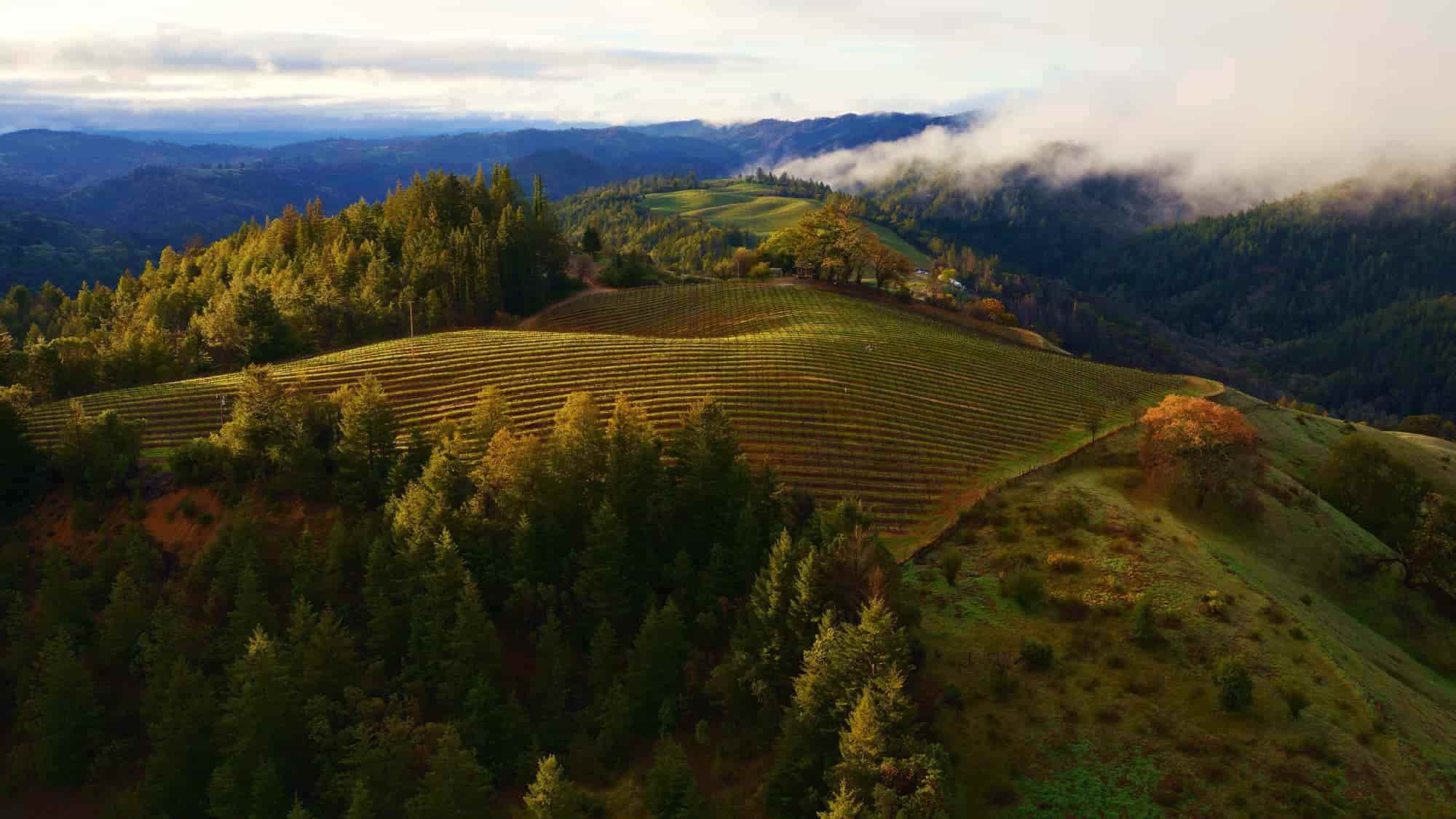 MacOS Sonoma Horizon fond d'écran