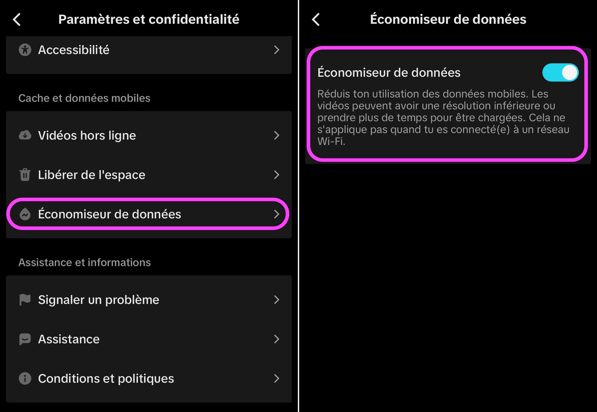 Économiseur données TikTok