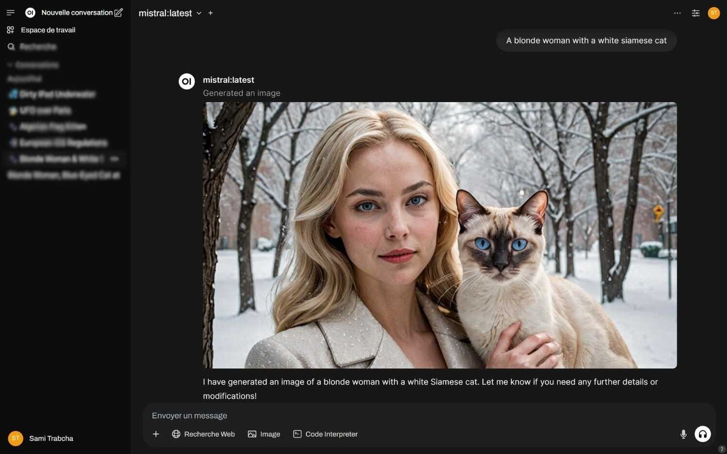 Chatbotmaison full options gen image+ recherche web