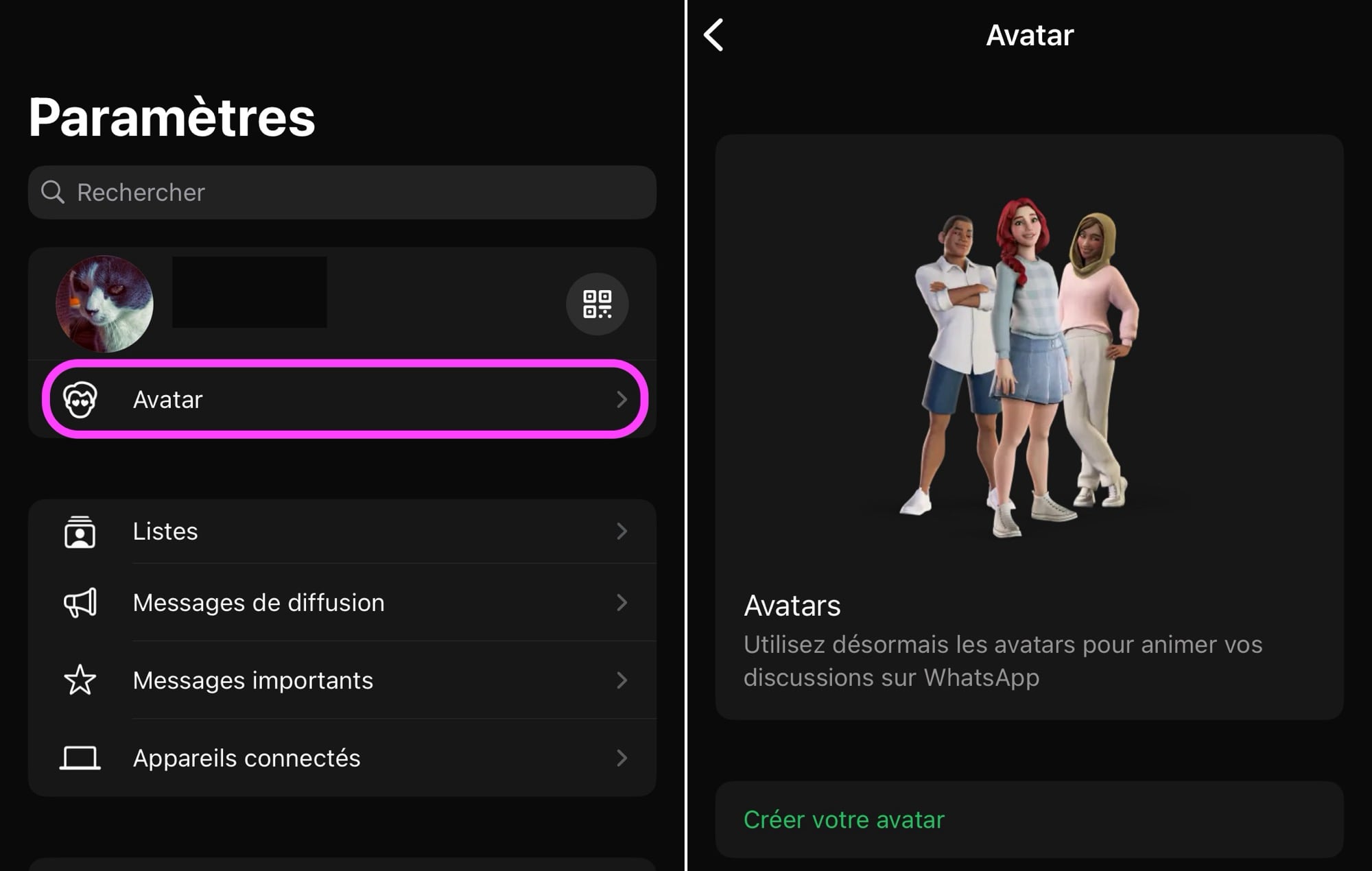 Modifier avatar WhatsApp