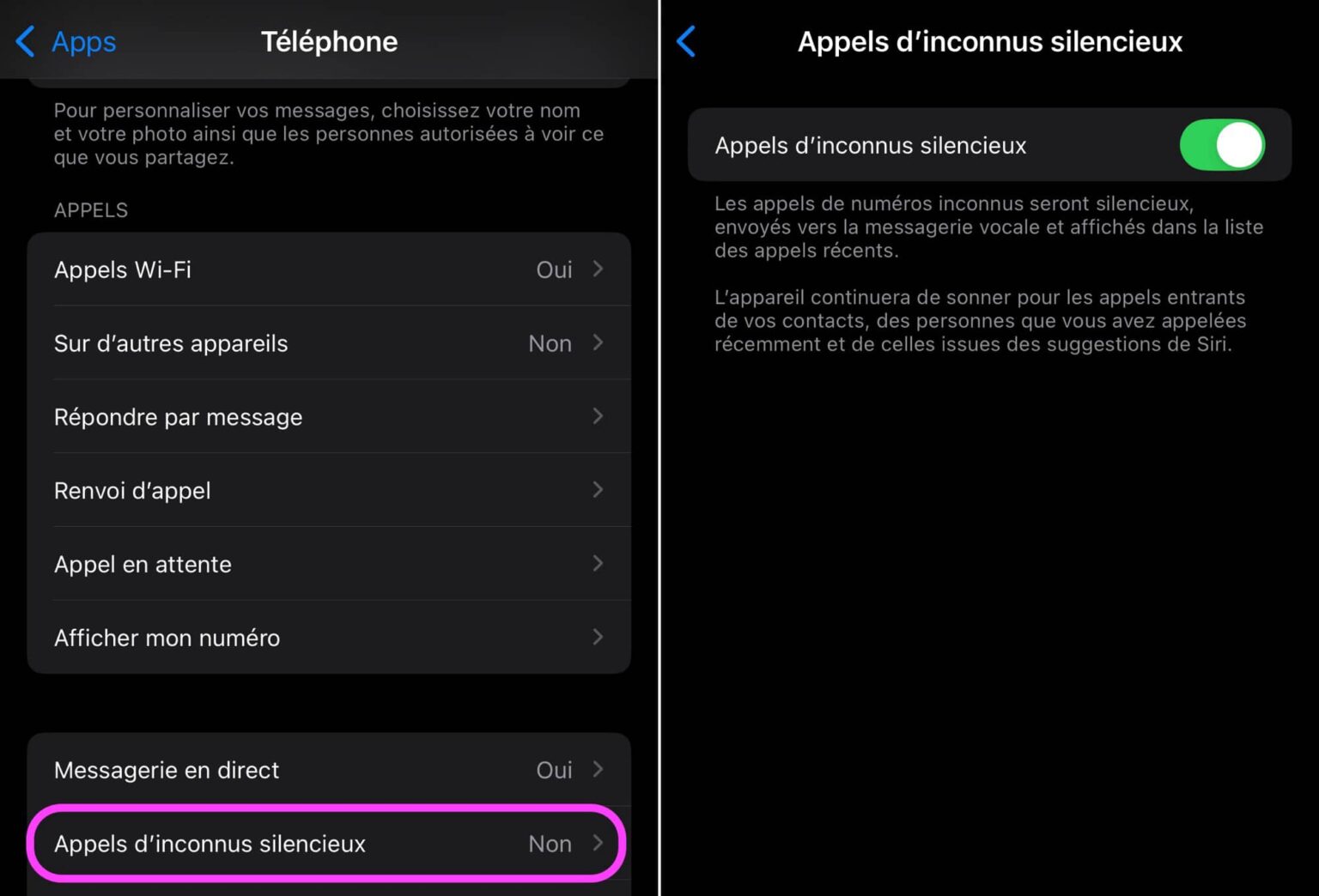Comment appeler en numéro masqué sur iPhone