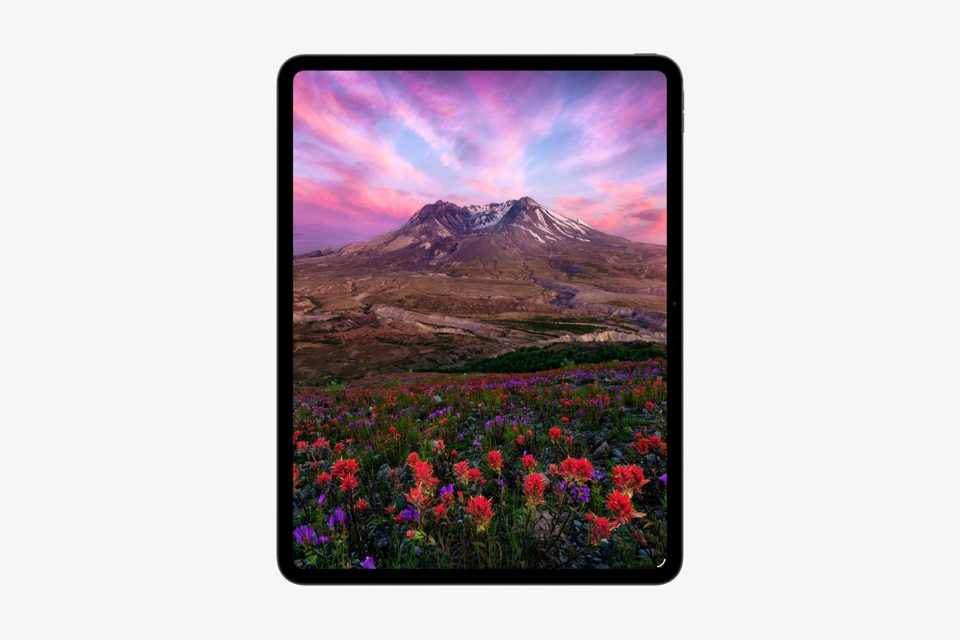 iPad Pro M5