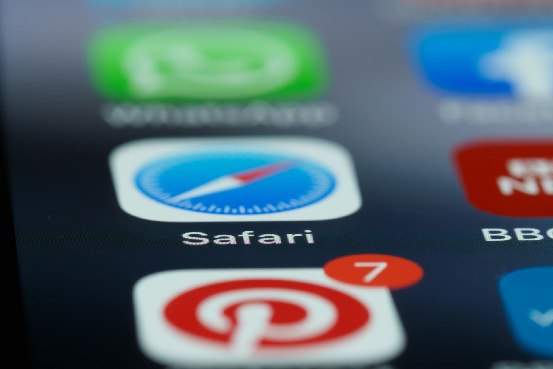 Safari