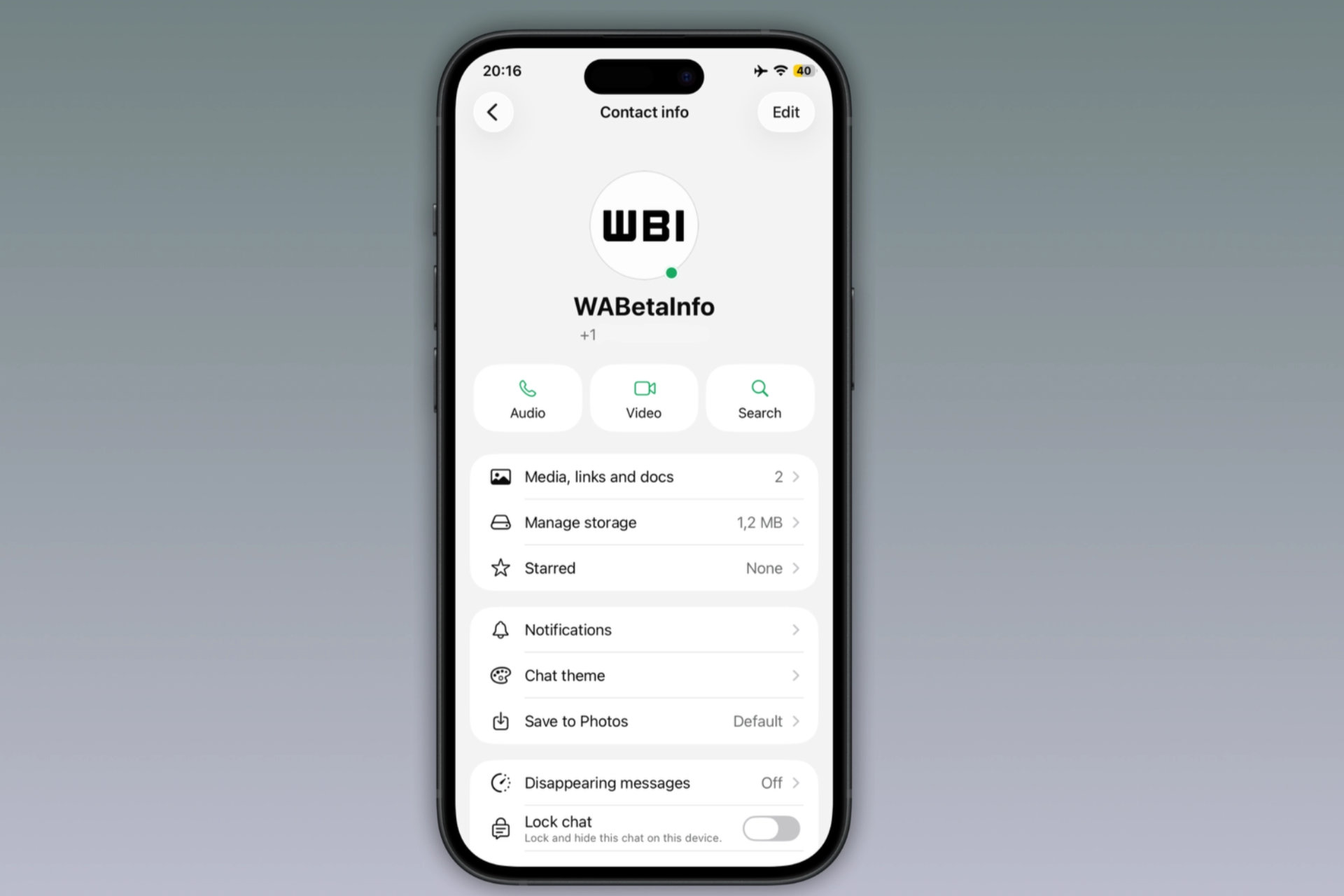 Badge vert whatsapp applications iPhone