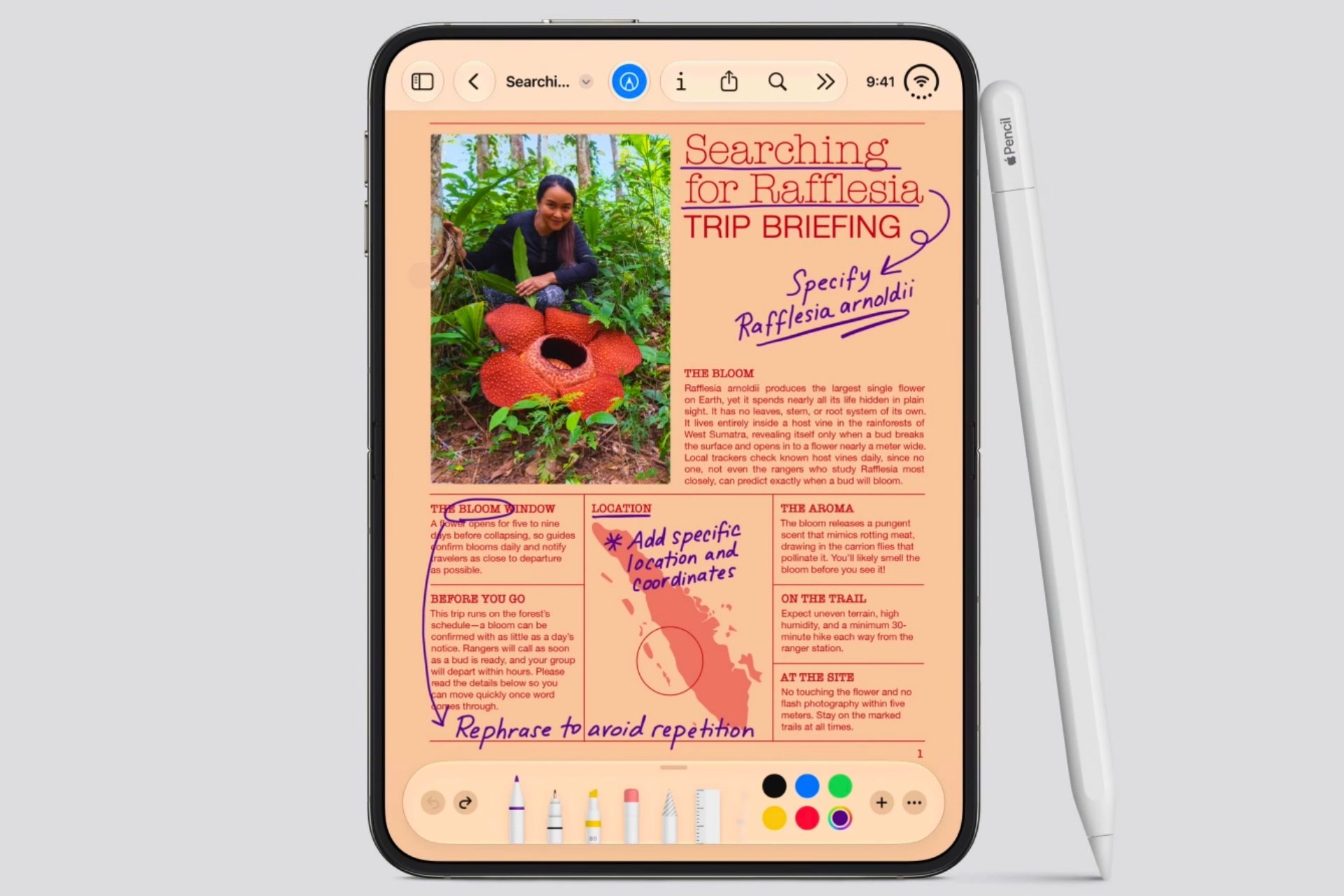 iPhone duo pliant stylet apple pencil compatibilité